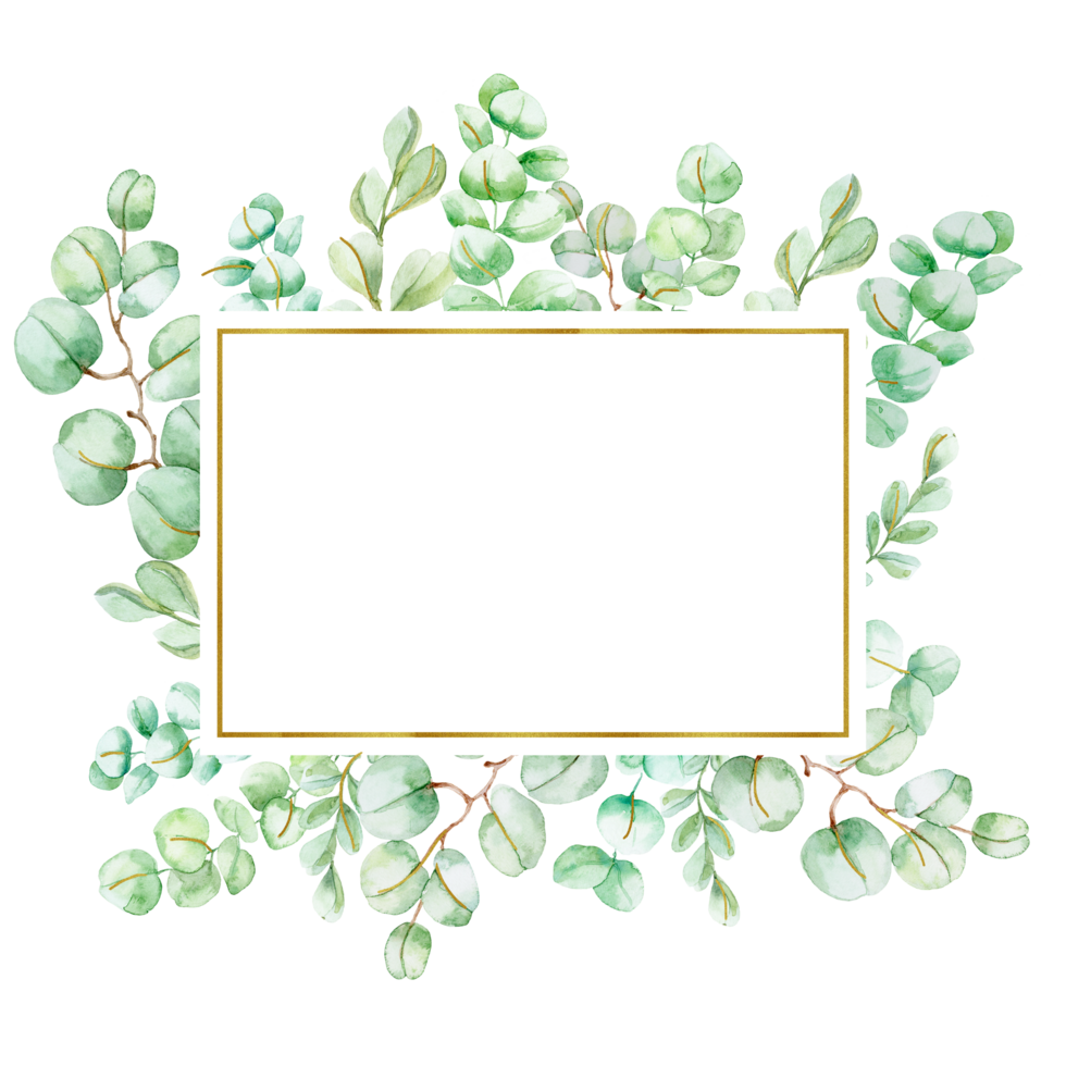 Watercolor eucalyptus leaves frame with delicate green foliage, perfect for botanical designs png