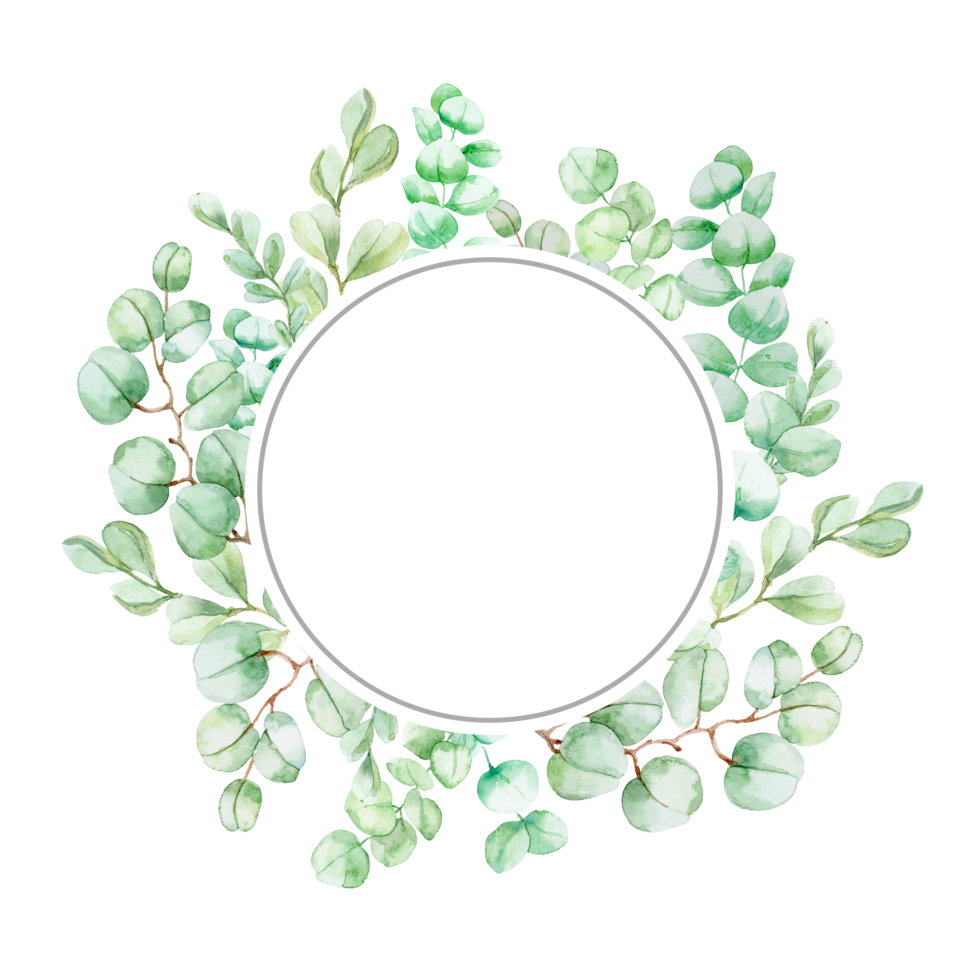 Watercolor eucalyptus leaves frame with delicate green foliage, perfect for botanical designs, invitations png
