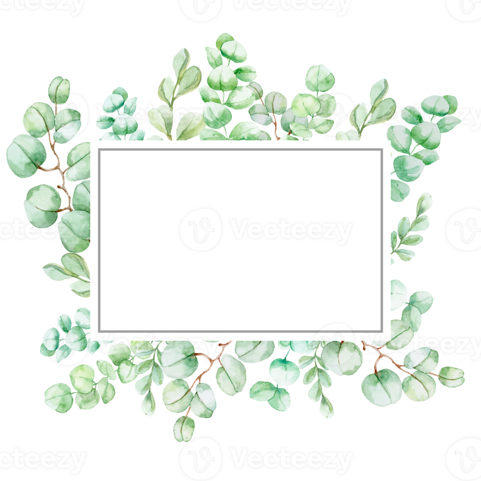 Watercolor eucalyptus leaves frame with delicate green foliage, perfect for botanical designs, invitations, and nature-inspired artwork. png