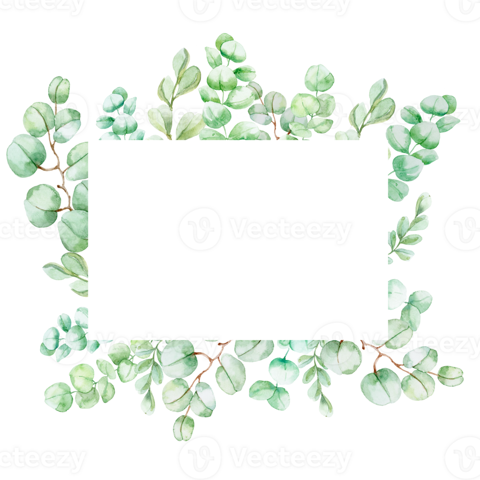 Watercolor eucalyptus leaves frame png