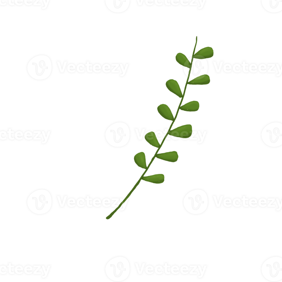 Minimal Green Leaf Branch Illustration png