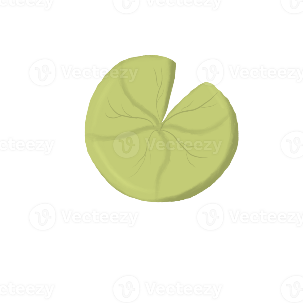 lotus shaped leaf png