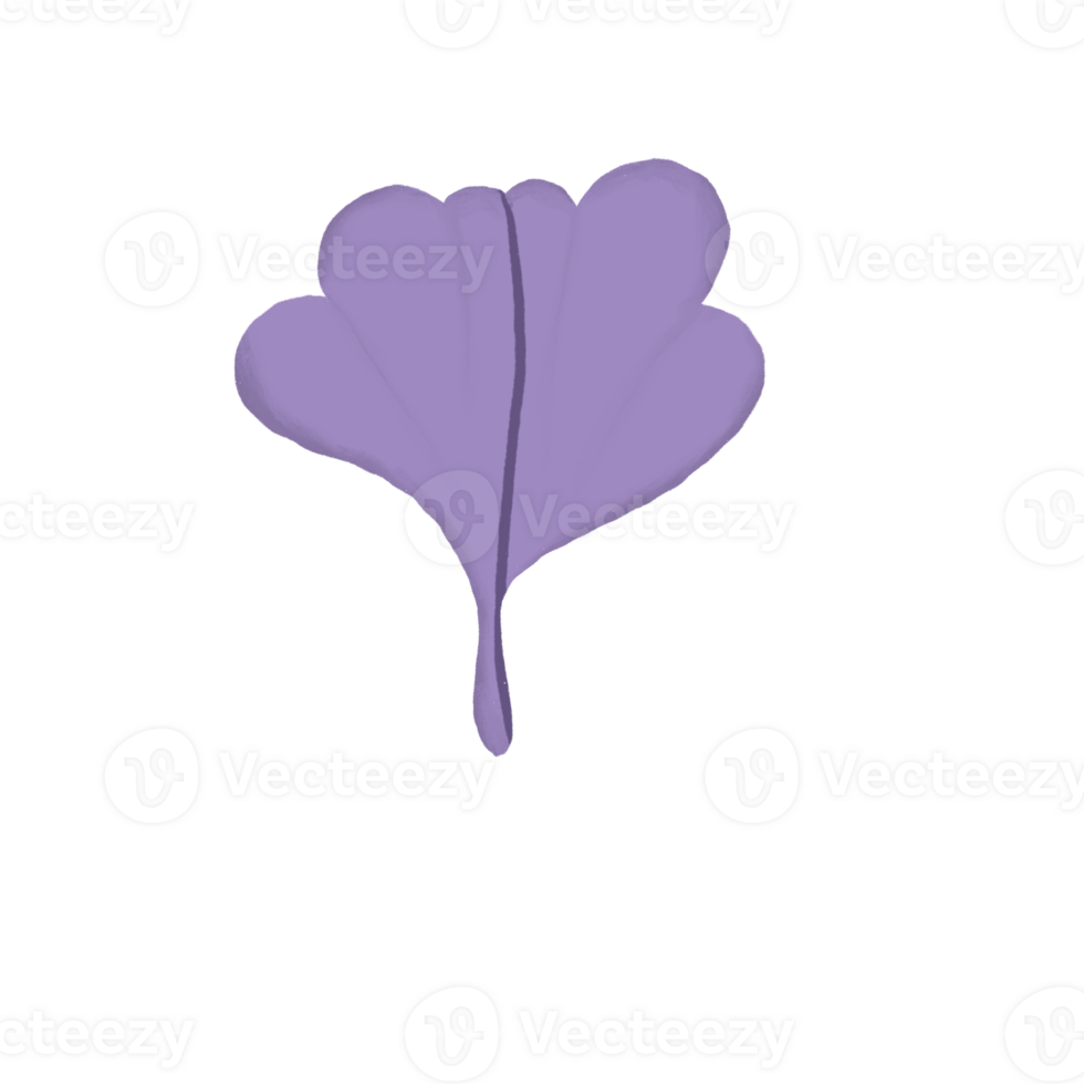 Purple Ginkgo Leaf Hand-Drawn Botanical Illustration png