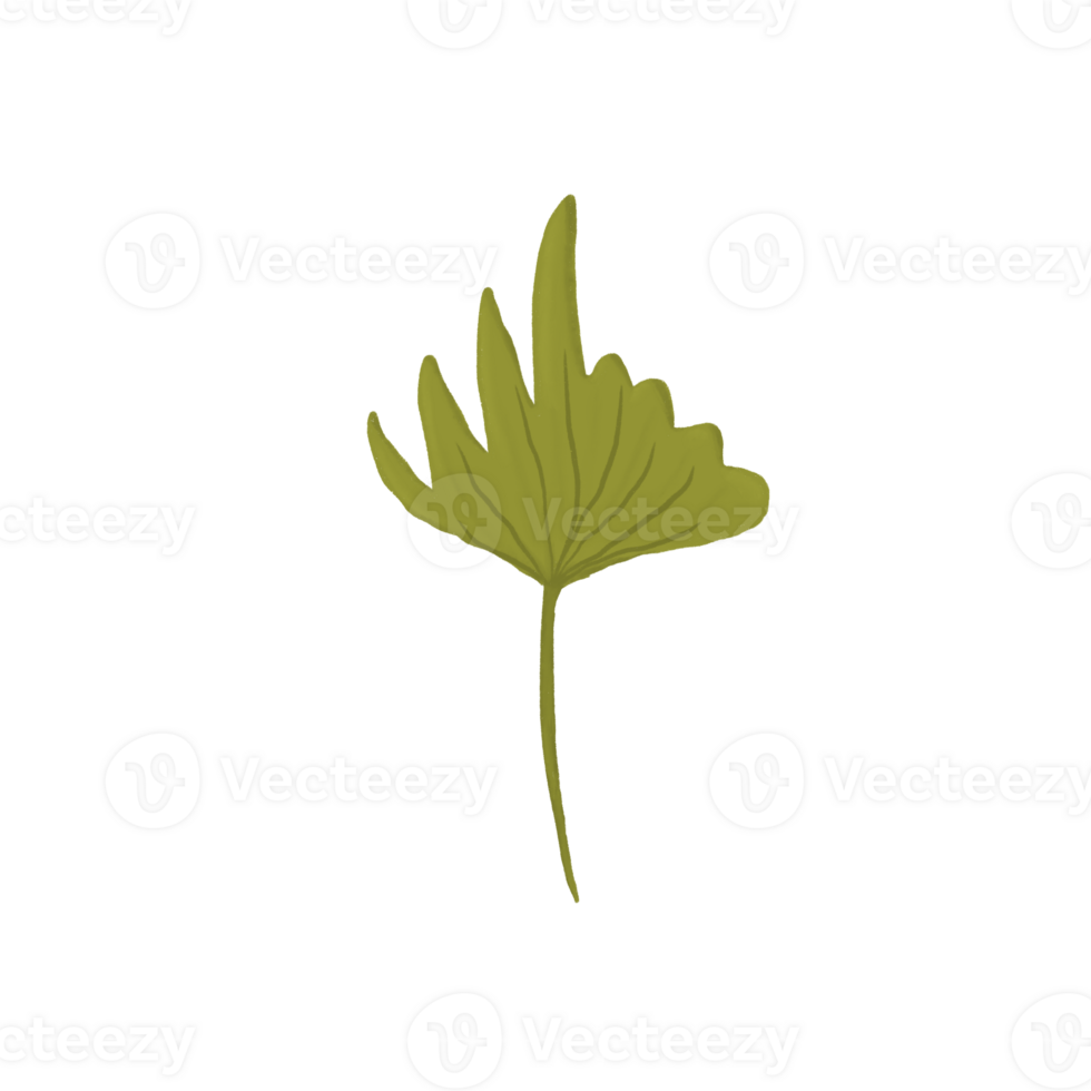 uneven moss green leaf png