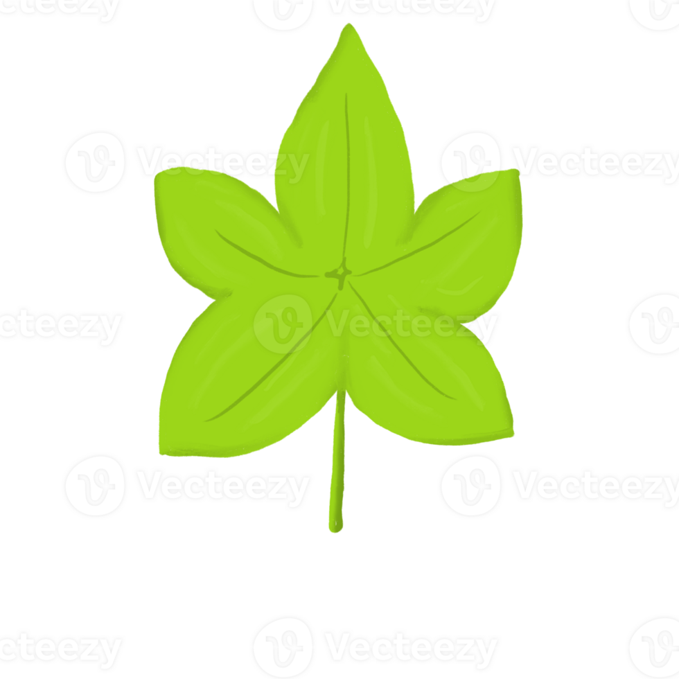 Bright Green Hand-Drawn Maple-Style Leaf Illustration png