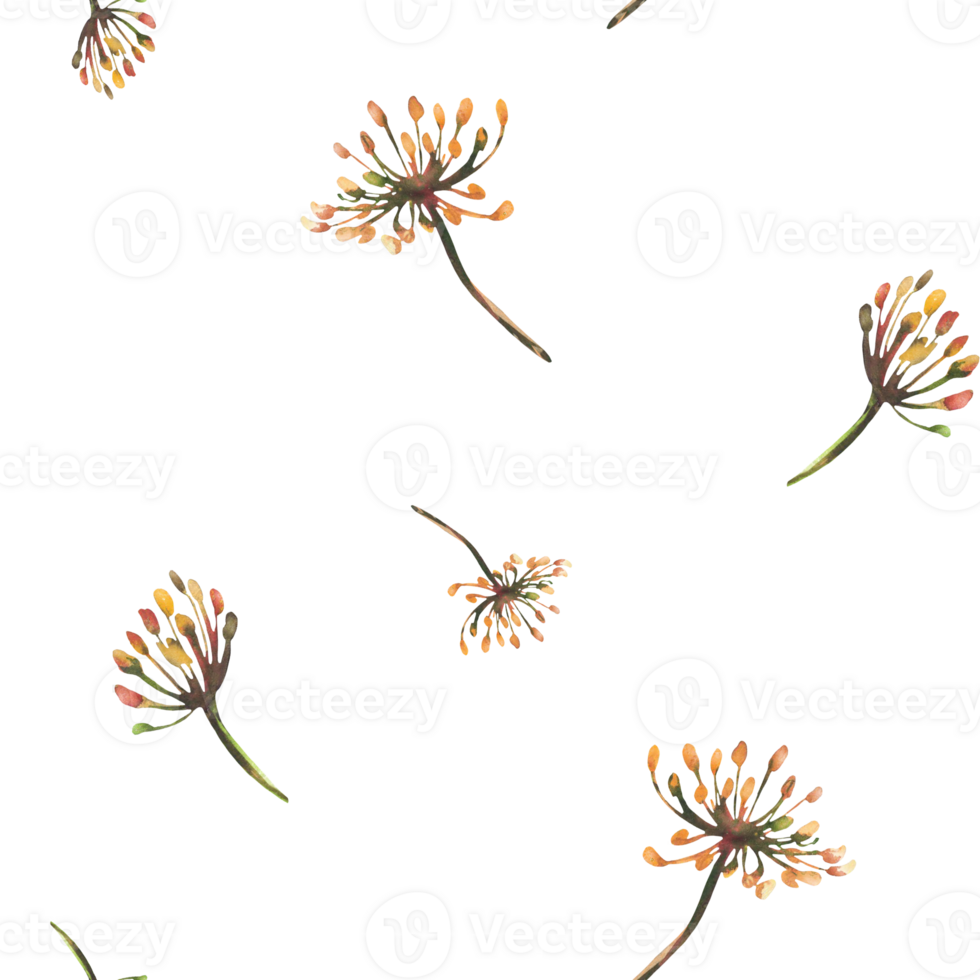 Dill or fennel seamless pattern. Watercolor hand drawn illustration. Branches of dried flowers, sprigs with seeds, inflorescence, umbrella. Clipart for floral fabric print isolated from background png