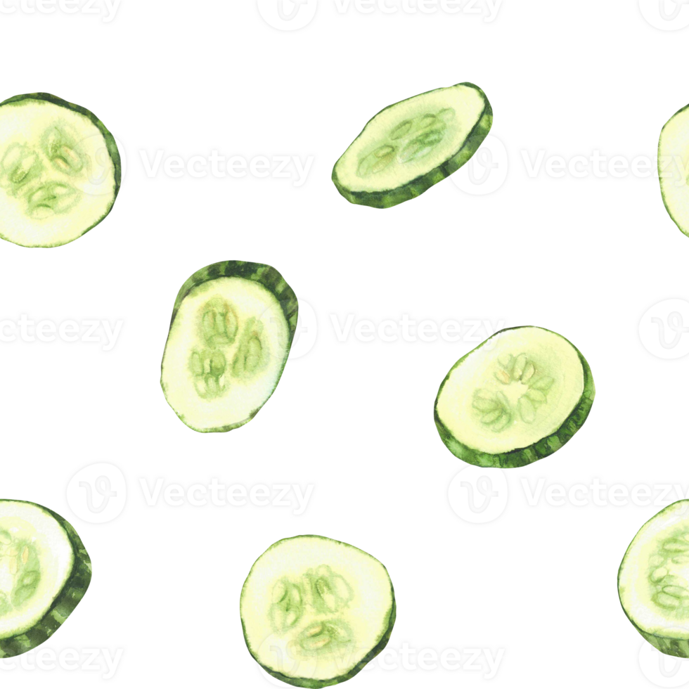 Watercolor cucumber slices seamless pattern. Fresh sliced vegetable, cut cucumber circles with seeds. Realistic painted food illustration for fabric, wallpaper, packing label. Isolated from background png
