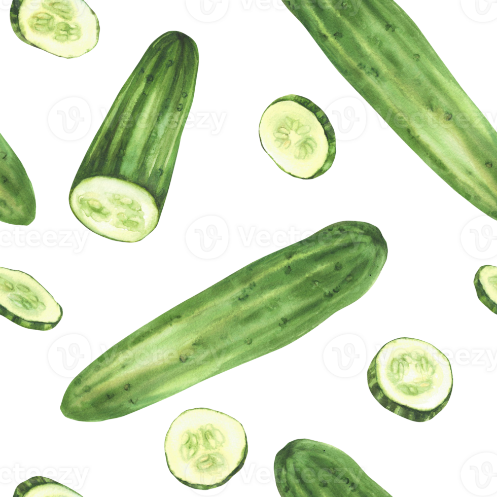 Cucumber with slices watercolor seamless pattern. Whole long green vegetable and sliced in circles. Clipart for market food packaging, kitchen textile. Isolated from background hand drawn illustration png