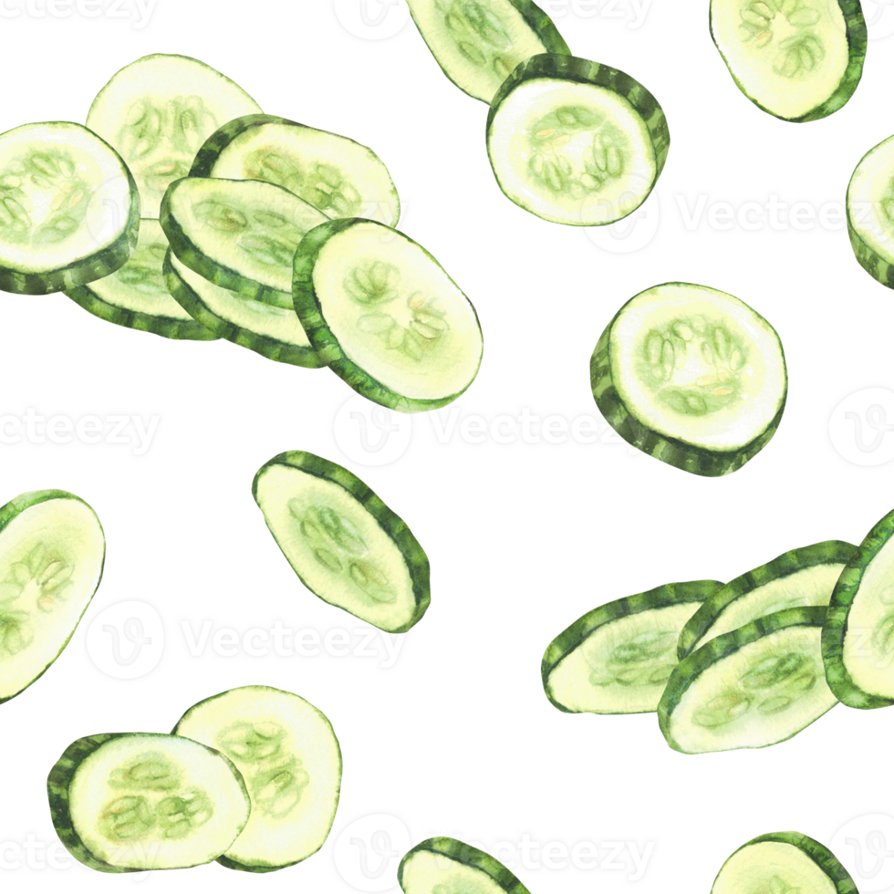 Sliced cucumber slices watercolor seamless pattern. Fresh vegetable cut cucumber circles. Realistic painted illustration for farming food fabric, packaging for cosmetics, salads. Isolated background png