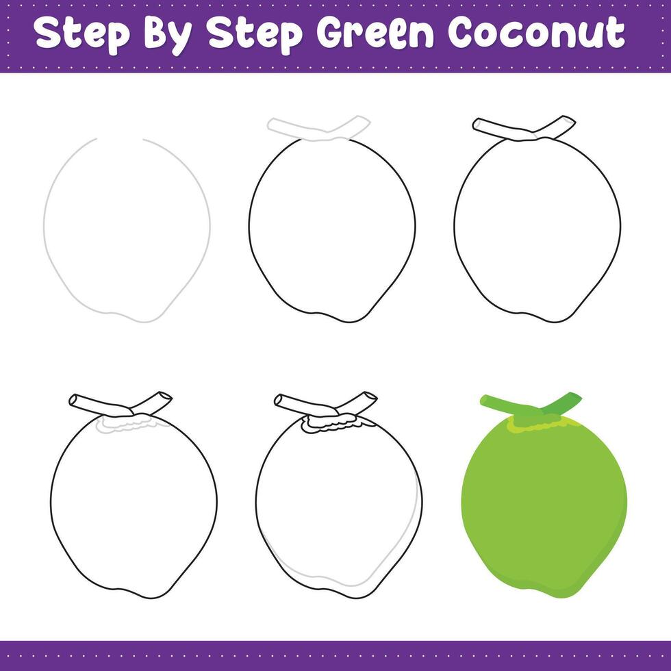 Drawing a green coconut step by step vector