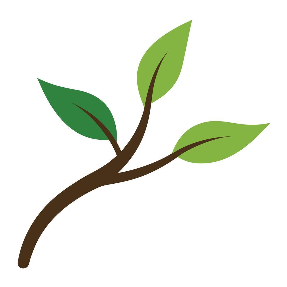 Green leaves on brown branch leaf plant vector