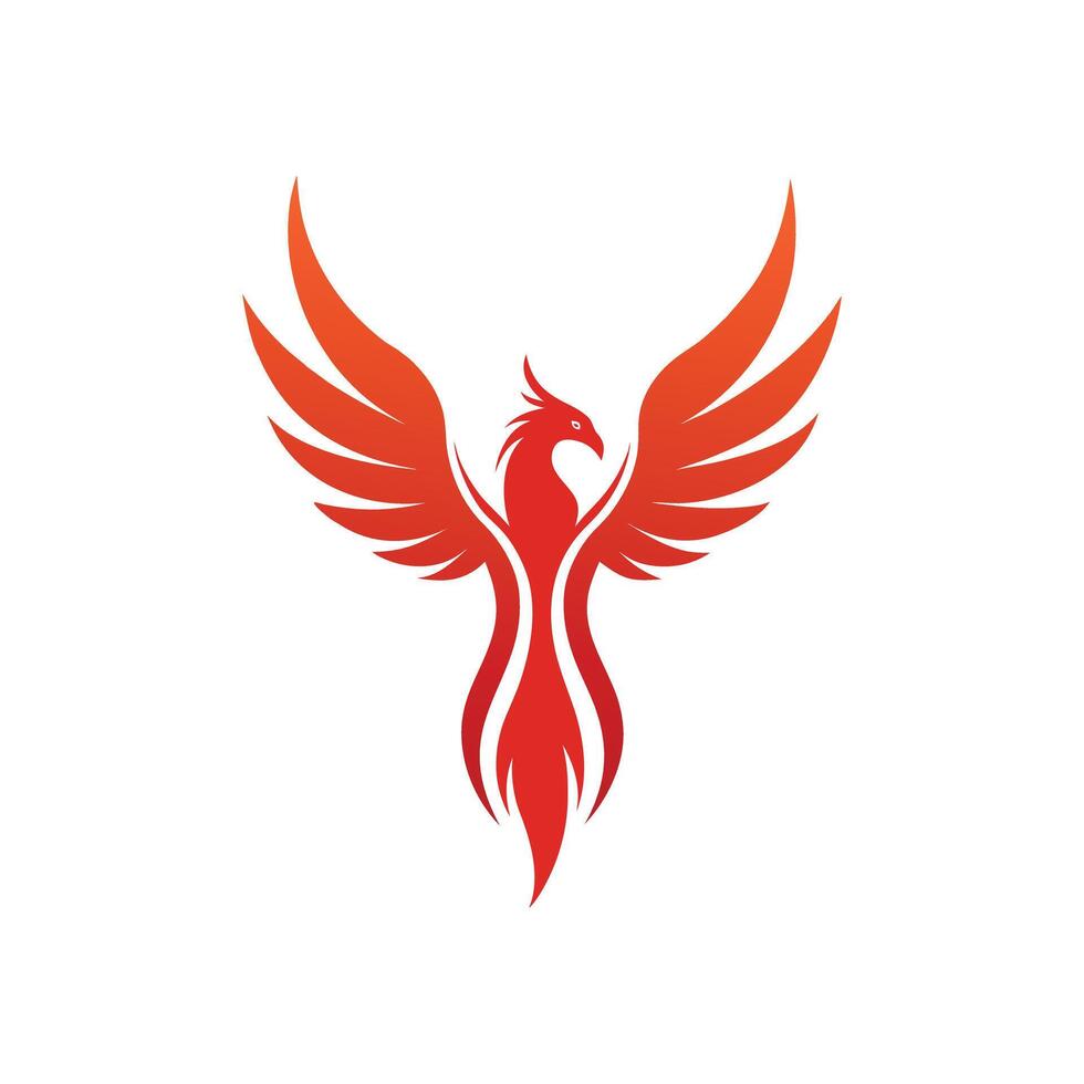 Red Phoenix Illustration with Outspread Wings on White Background bird orange vector