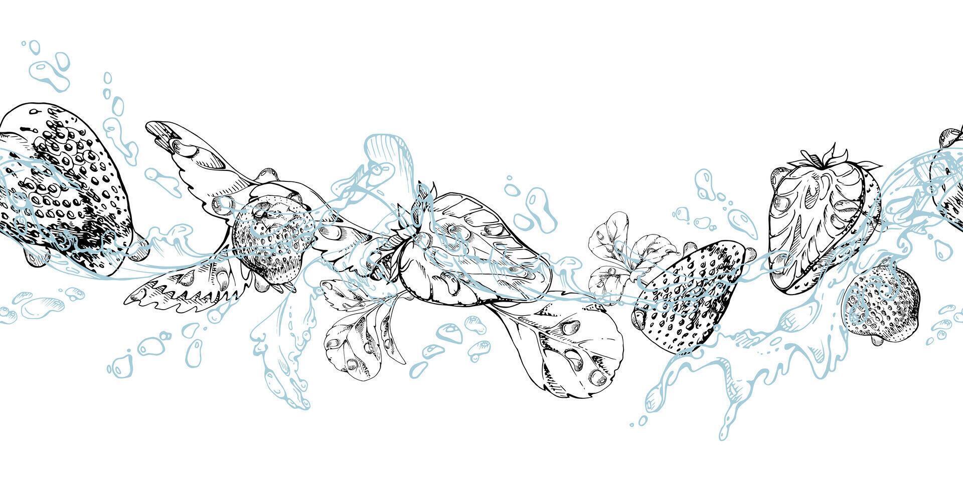 Strawberry flying in water splash with leaves, dew drops, ripe summer garden forest berry strasberry hand drawn in ink. Isolated seamless banner. Home preserves, stationery, menu, recipe book vector