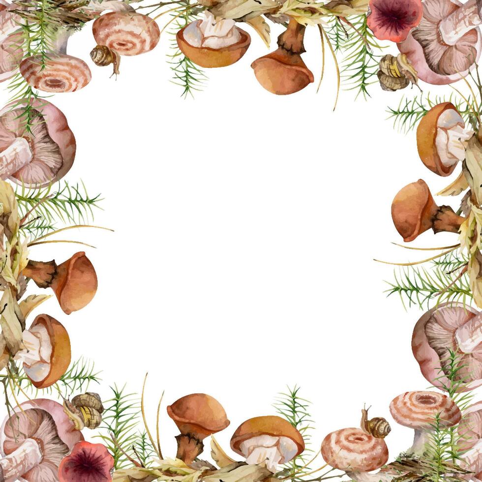 Watercolor mushrooms frame decoration vector