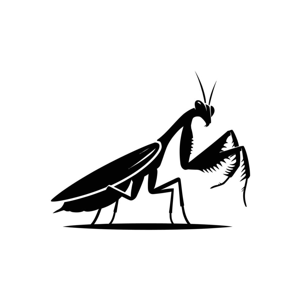 Praying Mantis Silhouette Graphic vector