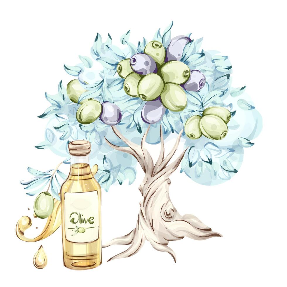 Illustration of olives and olive oil highlighting Italian cuisine and nature in watercolor technique vector