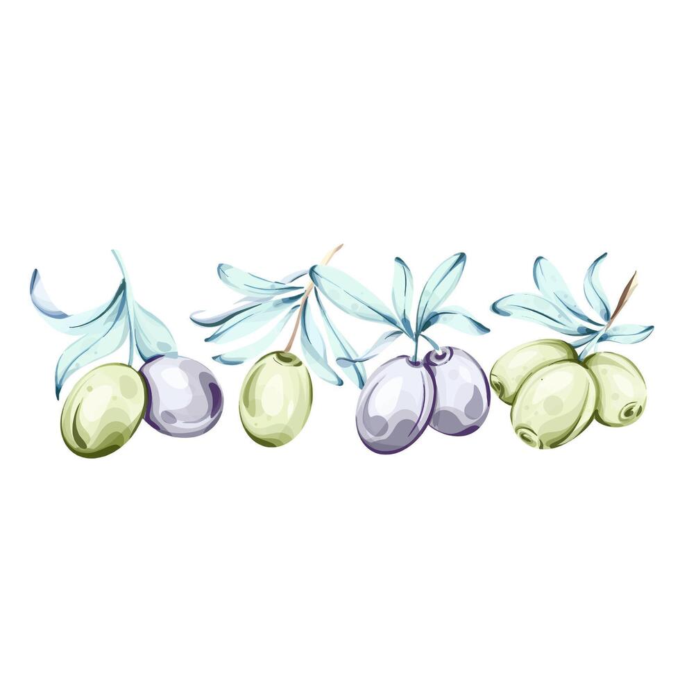 Elegant watercolor illustration of olives and olive oil inspired by Italian cuisine and natures beauty vector