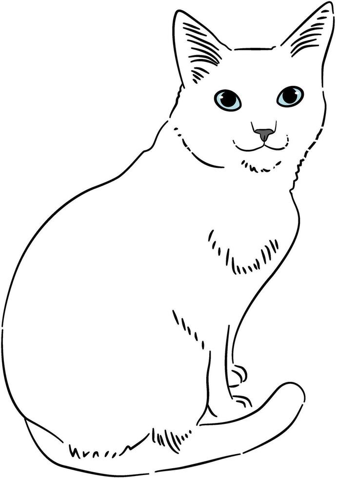 Black and White Cat Dog Sketch vector