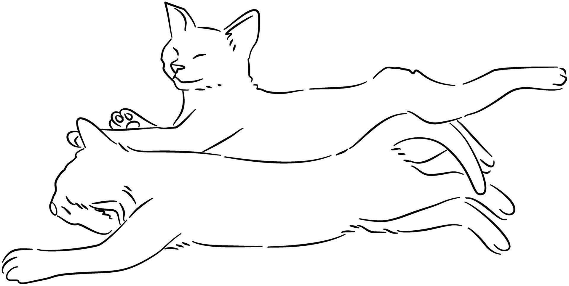 Detailed Cat and Dog Line Drawing vector