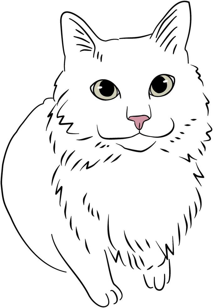 Fluffy white cat illustration vector