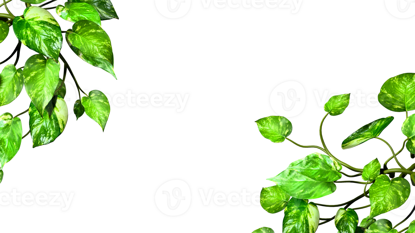 Greenery leafy plant frame border realistic 3d render png