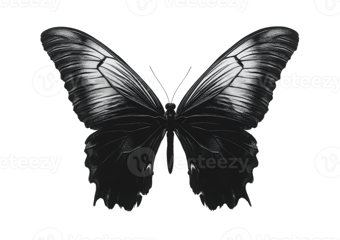 Silhouette of butterfly with soft grayscale wings and artistic brushstroke effect isolated on a transparent background png