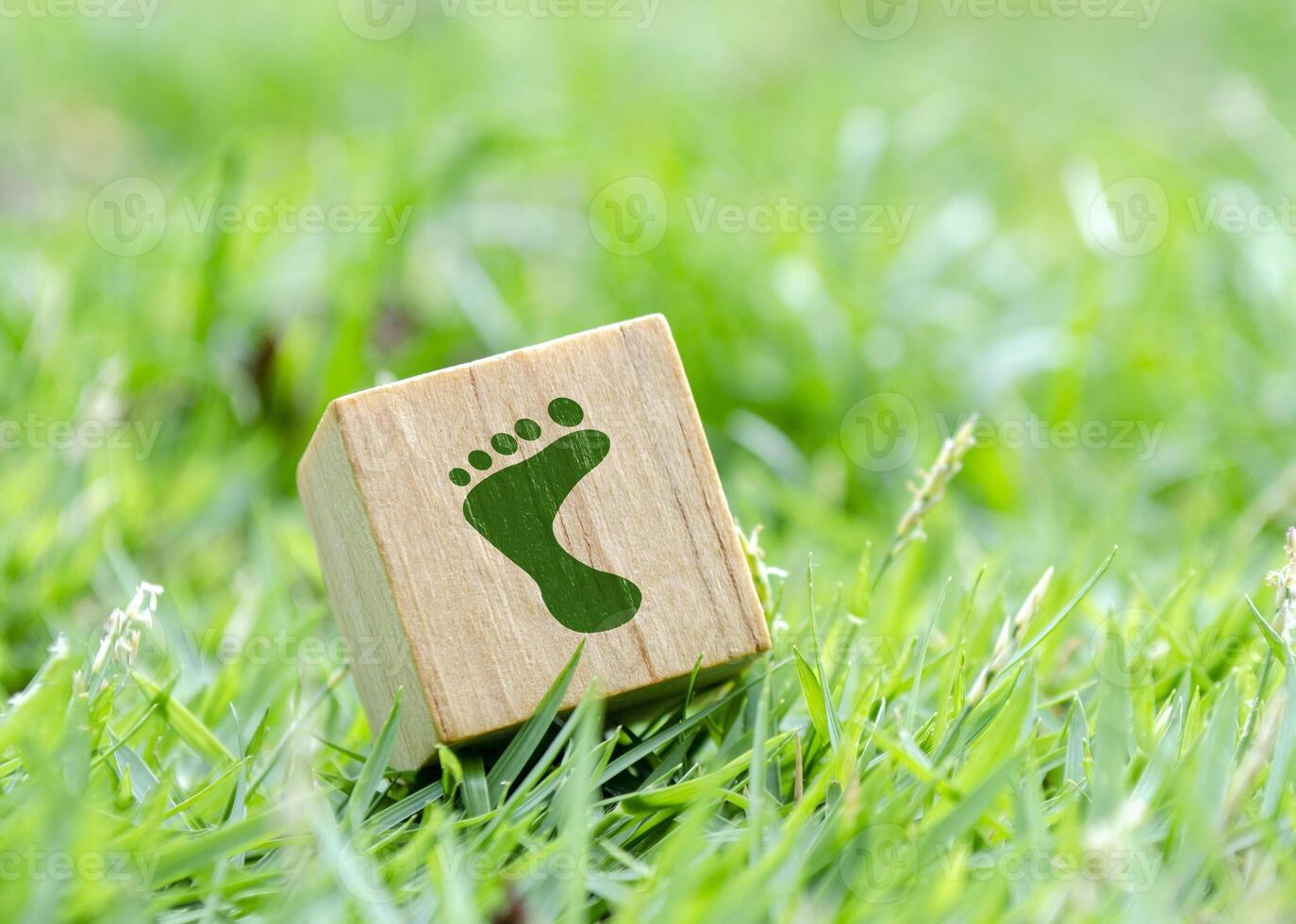 Single wooden cube with REUSED or STEP or Footprint on grass. Eco conscious message. photo