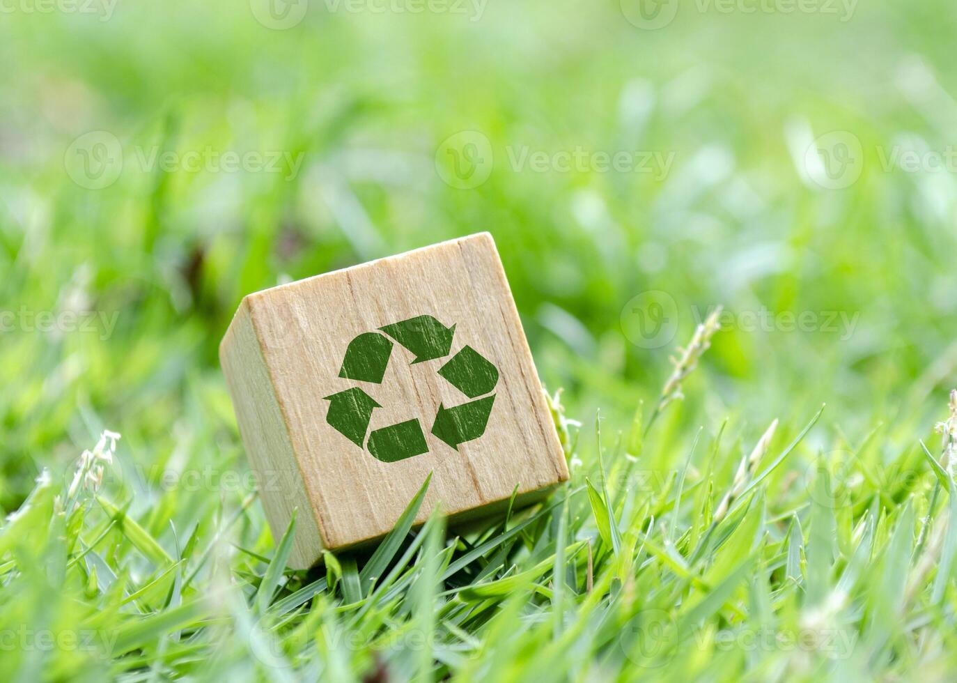 Wooden cube with recycle symbol on green grass. Minimalist eco concept. photo