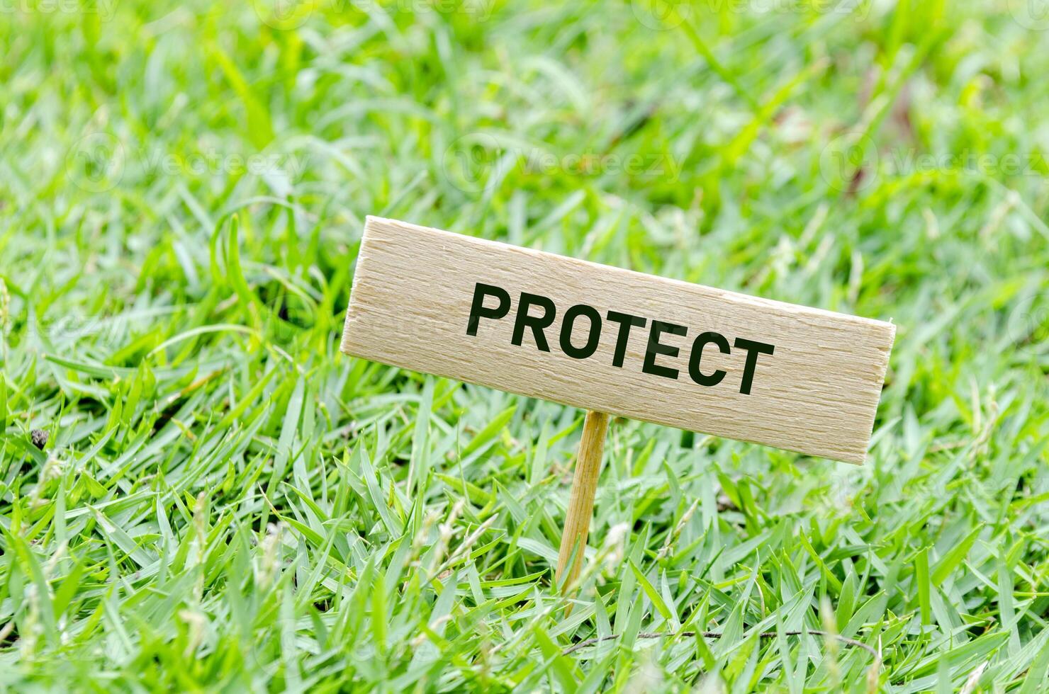 Wooden signage with PROTECT on grass. Environmental preservation theme. photo