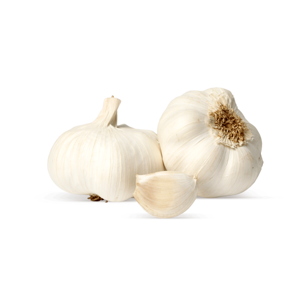 Healthy Garlic. Bunch Of Garlic. Garlic clove png