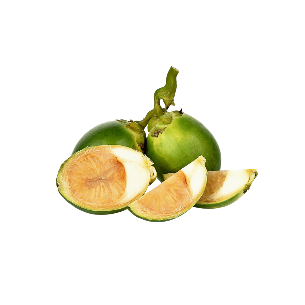 green Betel nut on transparent background png