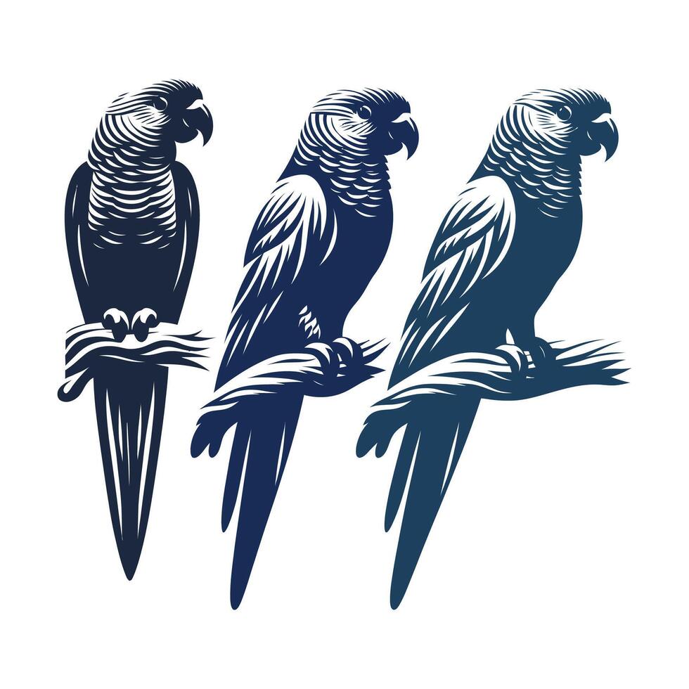 Set of parrots silhouettes isolated on white background. illustration. vector
