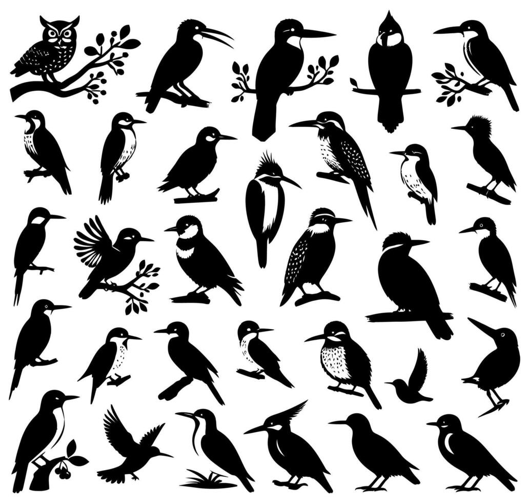 Birds black silhouettes isolated on white background. Bird illustration. vector