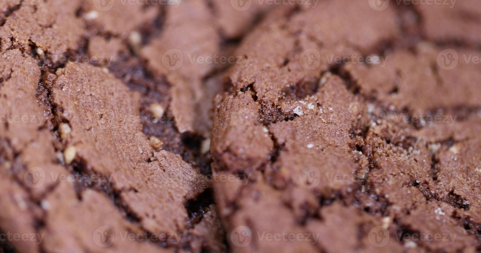biscuits with sesame and cocoa , chocolate-flavored biscuits with sesame seeds photo