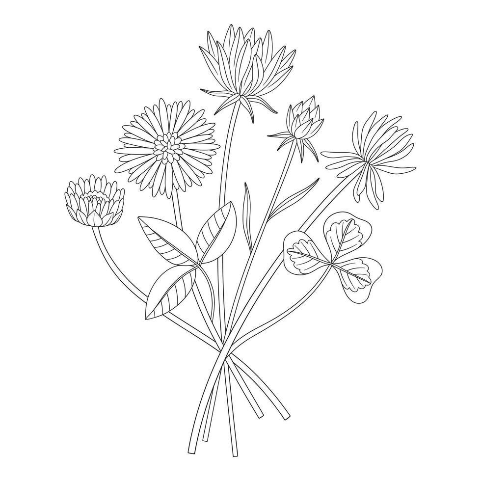 Wildflower bouquet with clover, different meadow flowers, and blooming wild plants. Line art, minimal style, contour. Botanical hand drawn elements for design projects, illustration vector