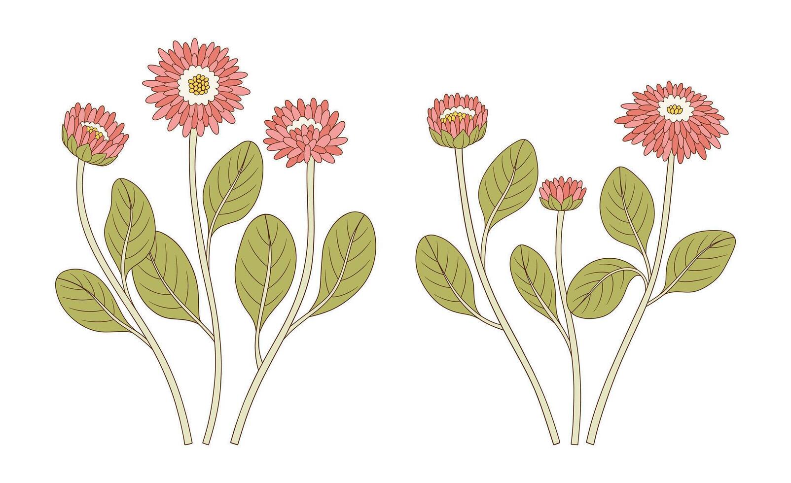 Set of bouquets of pink flowers. Bunches of blooming wildflowers with leaves, perennial wild plants. Botanical hand drawn elements for design projects illustration vector