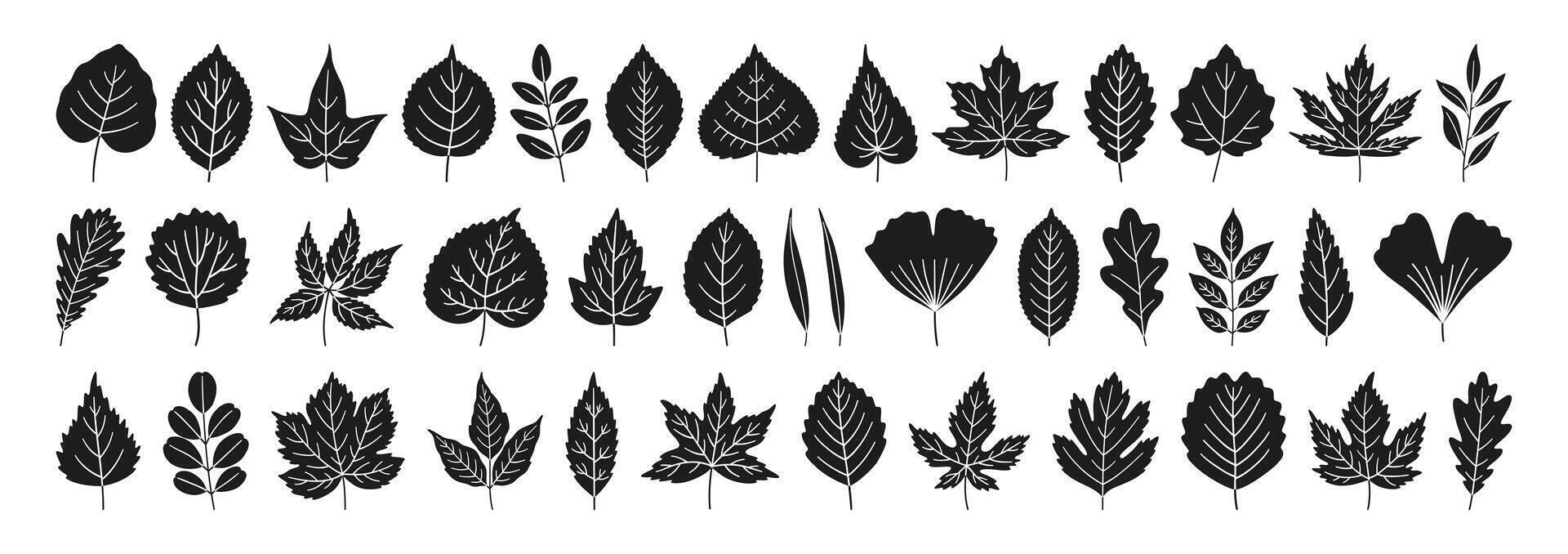 Set of various simple textured autumn black silhouettes leaves vector