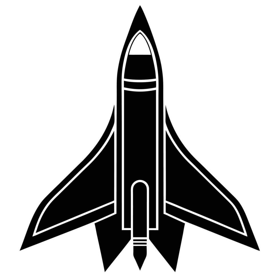 Sleek black futuristic aircraft with white accents vector