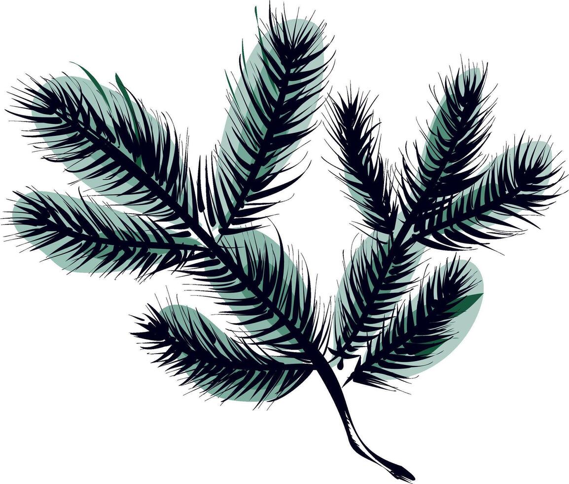 Fir branch isolated illustration with green shadow vector