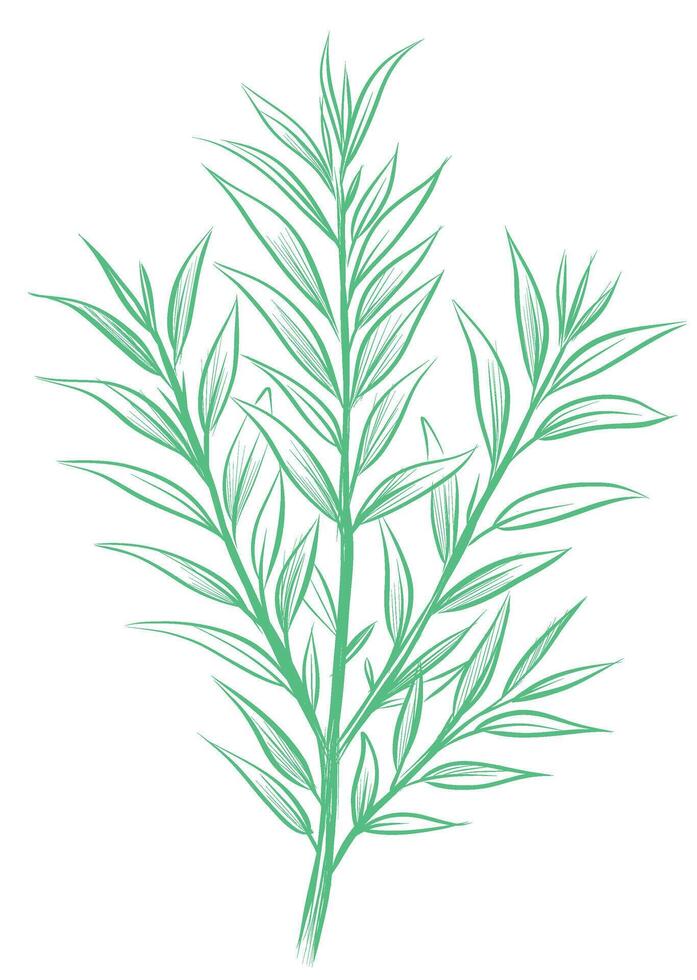 Green leafy herbal branch illustration vector
