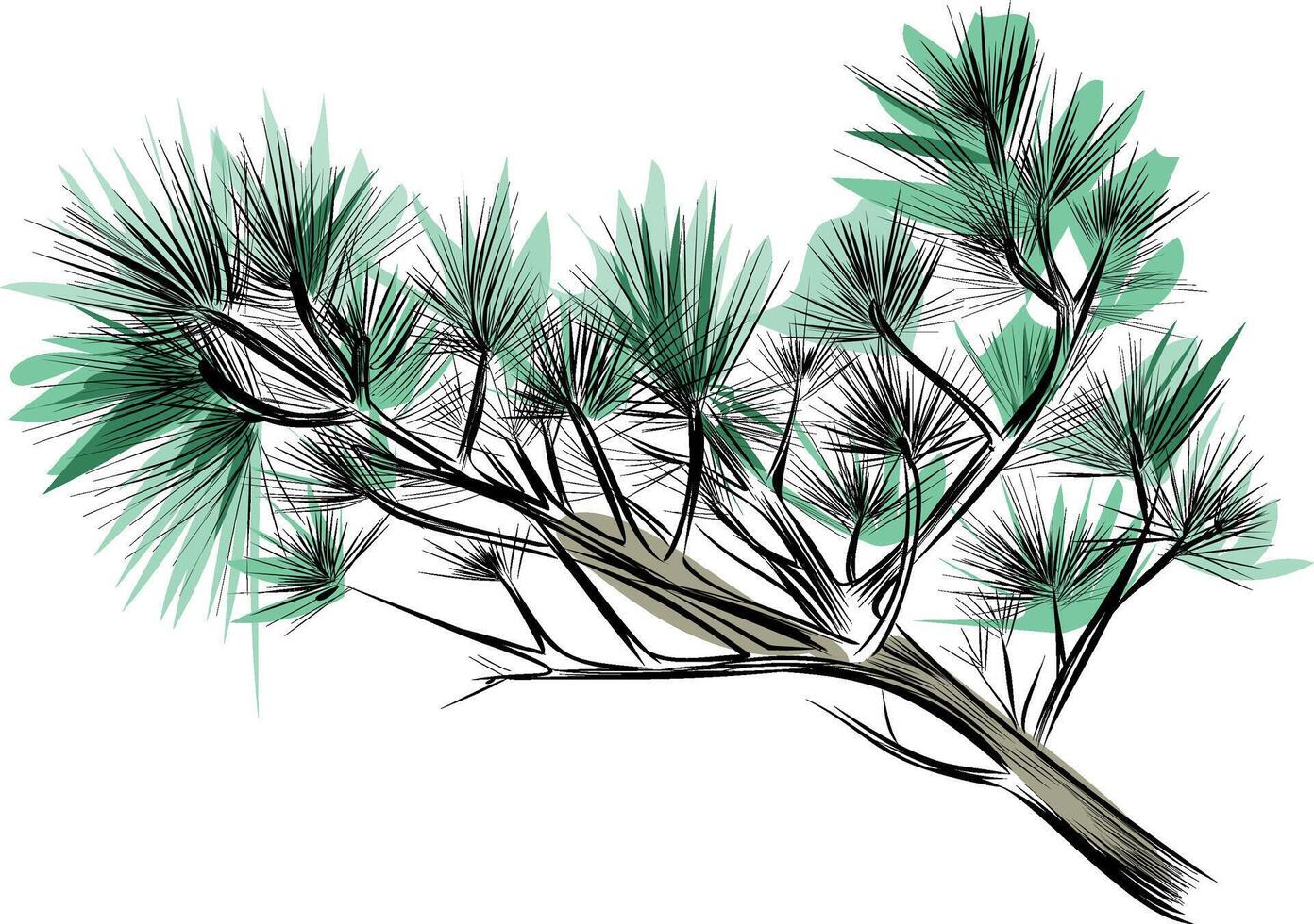 Pine tree branch with long green needles vector