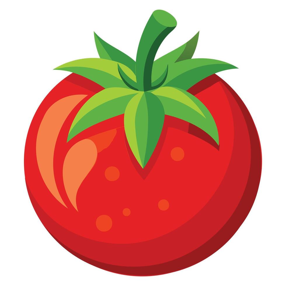 Fresh Red Tomato Graphics vector