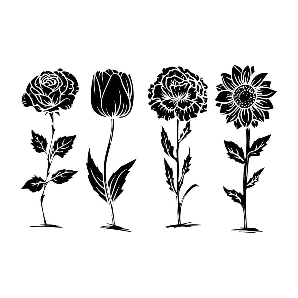 black and white flowers in different stages of growth vector