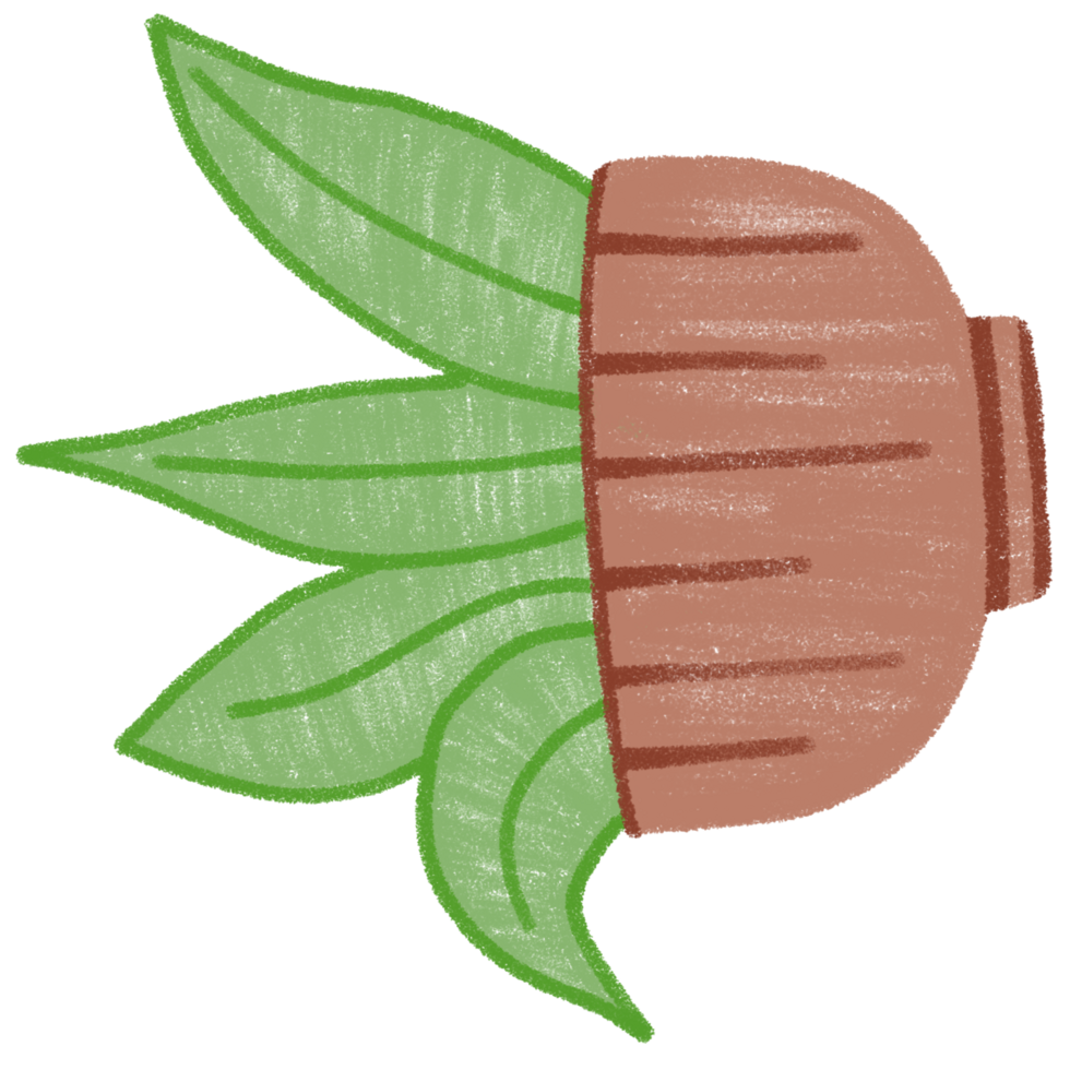 ilustration A decorative potted plant with large green leaves in a brown container png