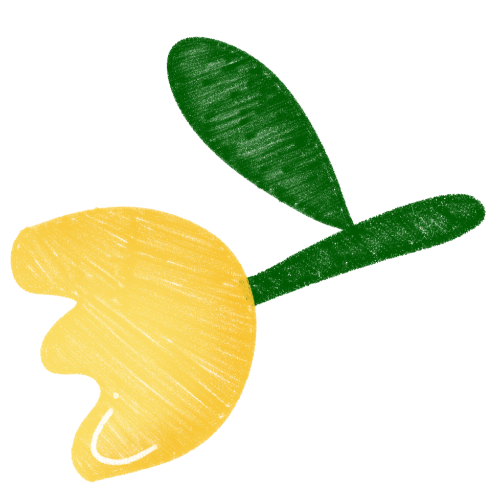A charming hand-drawn tulip in yellow with green leaves, ideal for floral sets, springtime themes png