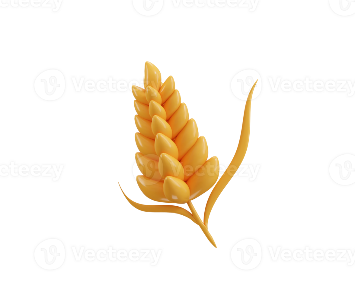 Wheat ear icon 3d render concept of Autumn farm harvest of barley with grain two and bundle yellow ripe rye icon illustration png