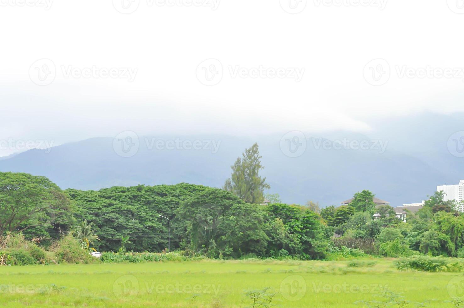sky , cloud , tree and mountainin rainy season photo