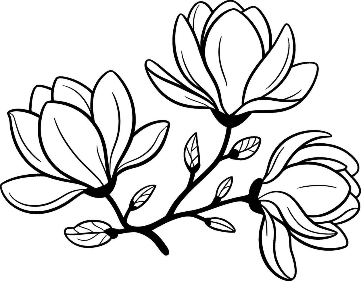 A magnolia flowers coloring pages vector