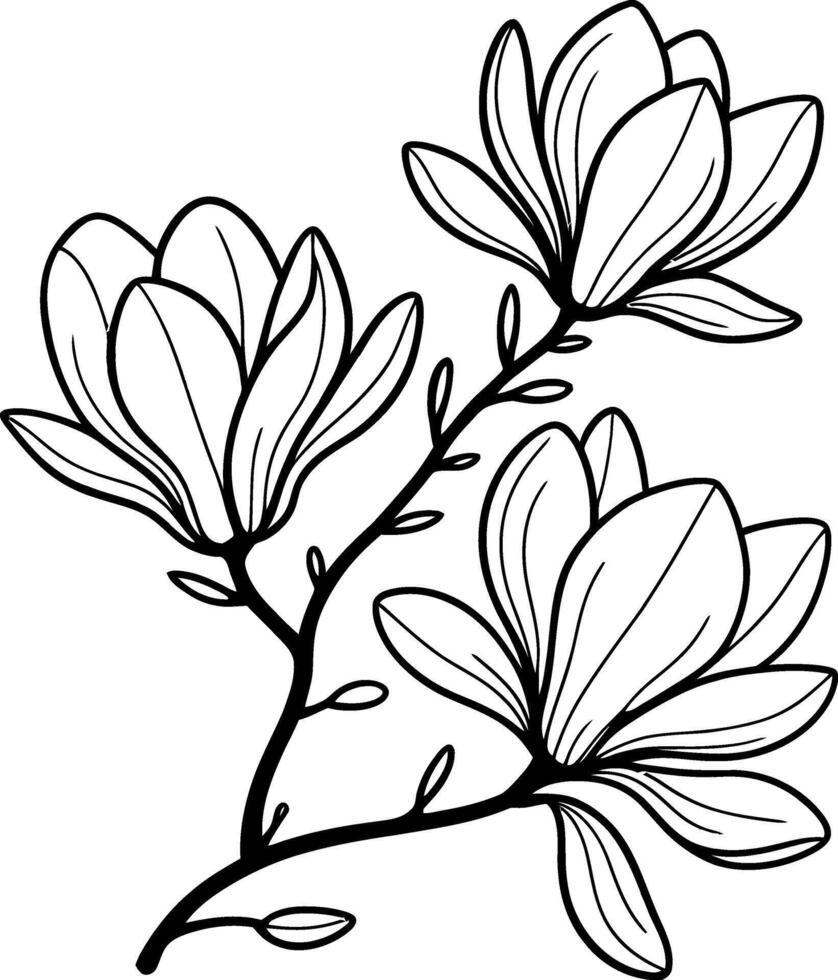 magnolia flowers coloring pages vector