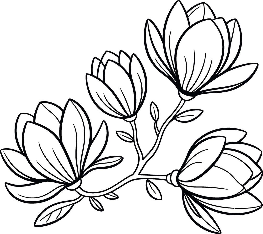 magnolia flowers Silhouette vector
